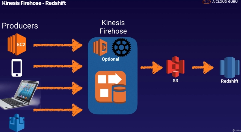 Kineses
