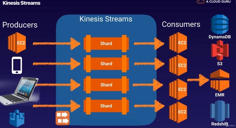 Kineses